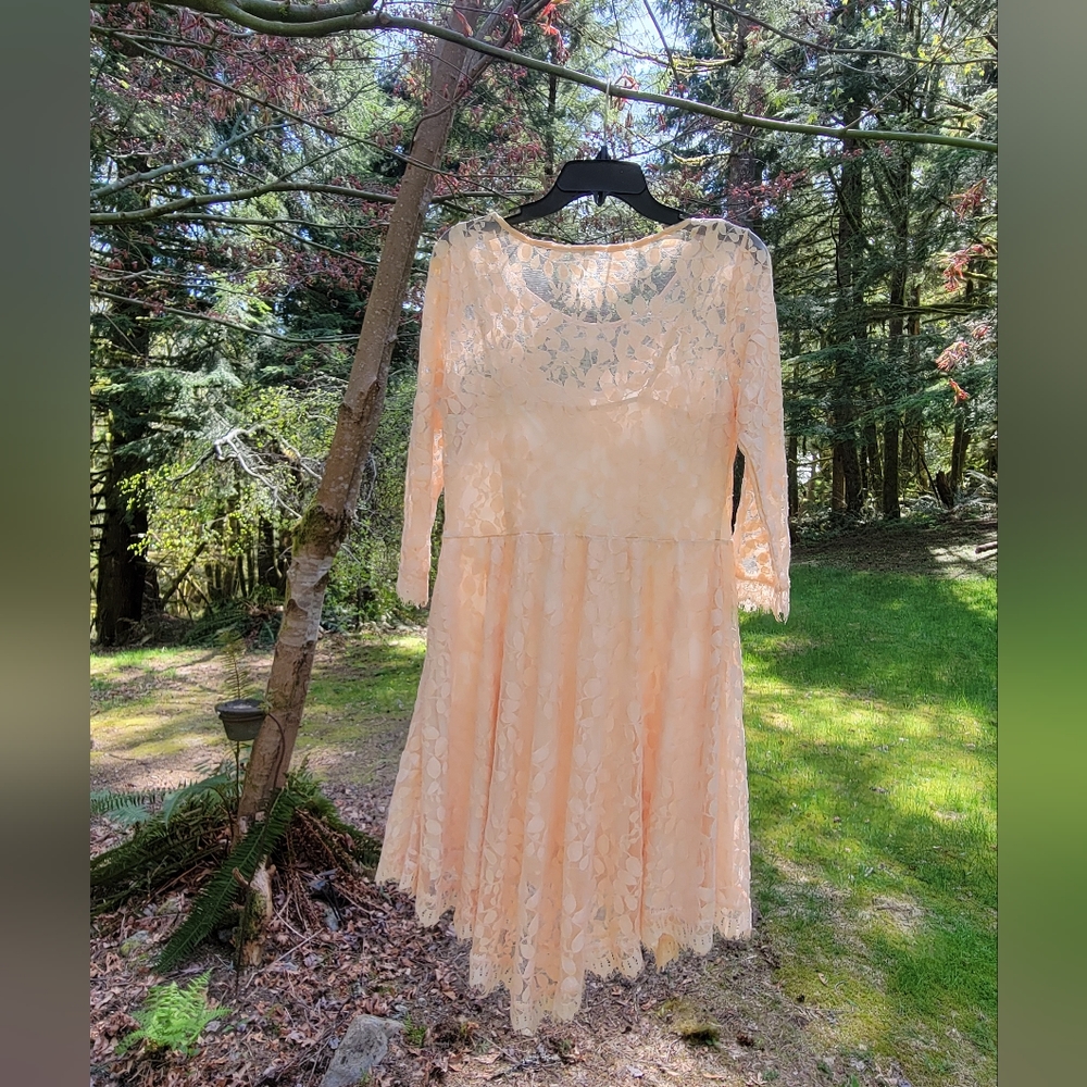 Free People Lace Apricot Size 10 Long-sleeved Dress
